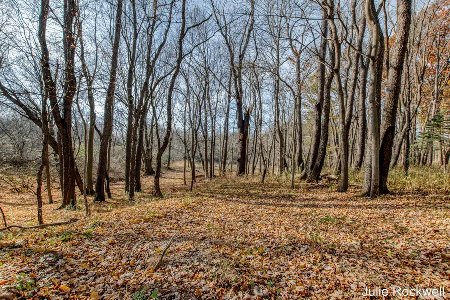 647 Crahen Avenue NE, Grand Rapids Charter Township, MI 49525 - Image #3