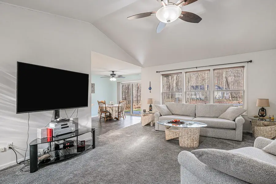 9168 White Birch Drive, Canadian Lakes, MI 49346 - Image #2