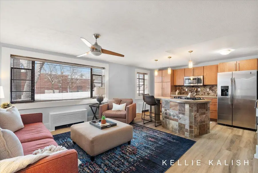 505 Cherry Street SE Unit: 217, Grand Rapids, MI 49503 - Image #3