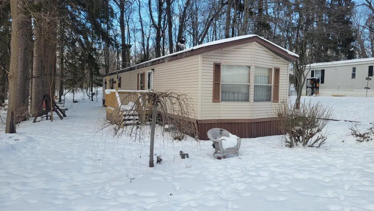 1133 Yeomans Street Unit: 17, Ionia, MI 48846 - #1