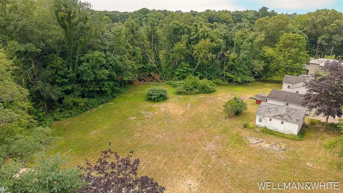1019 Elizabeth Street, Saugatuck, MI 49453 - #1
