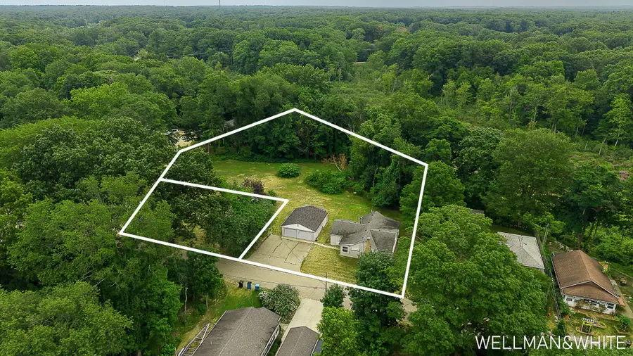 1019 Elizabeth Street, Saugatuck, MI 49453 - #2