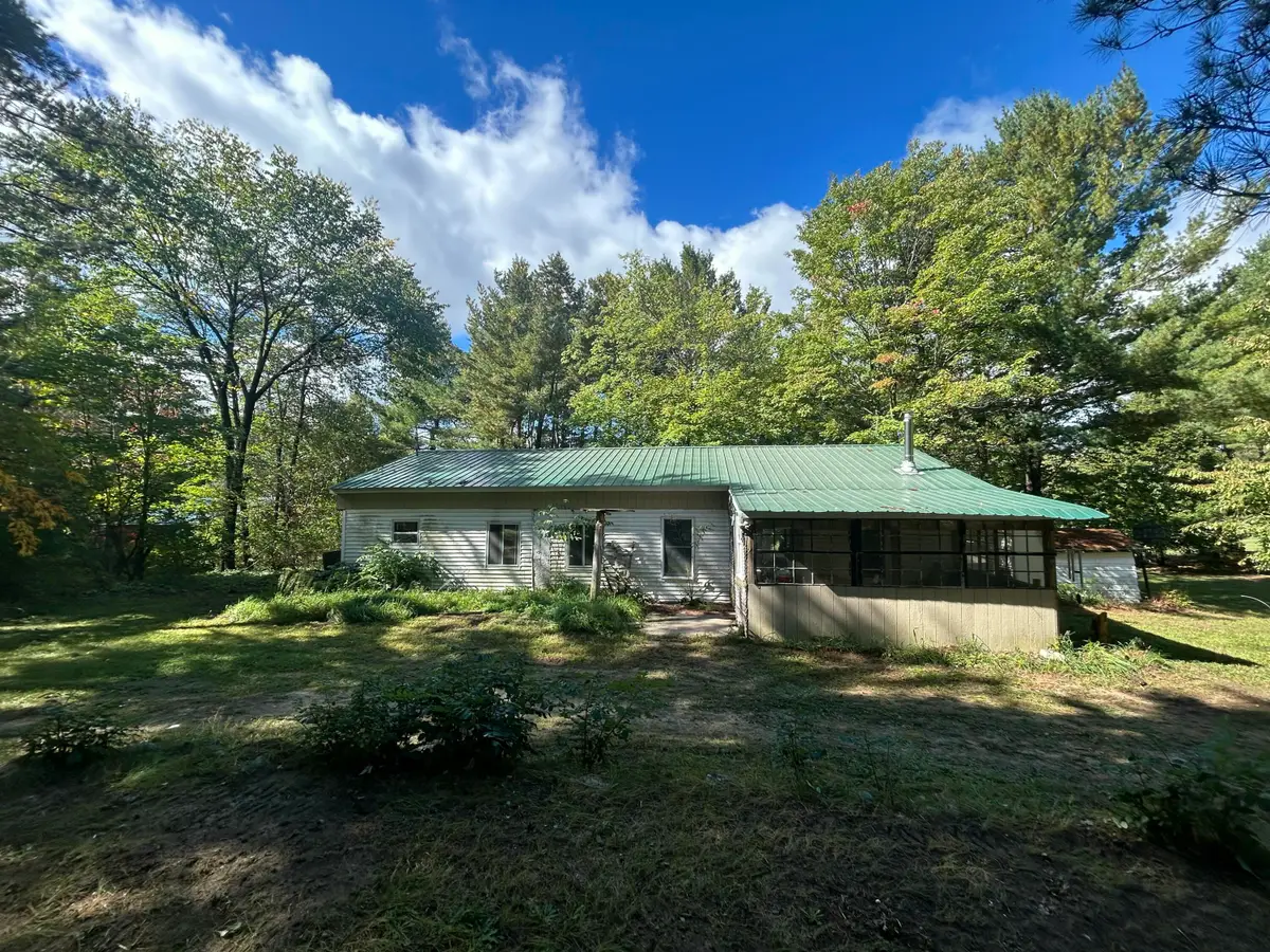 9177 S Bonney Road, Chase, MI 49623 - #1