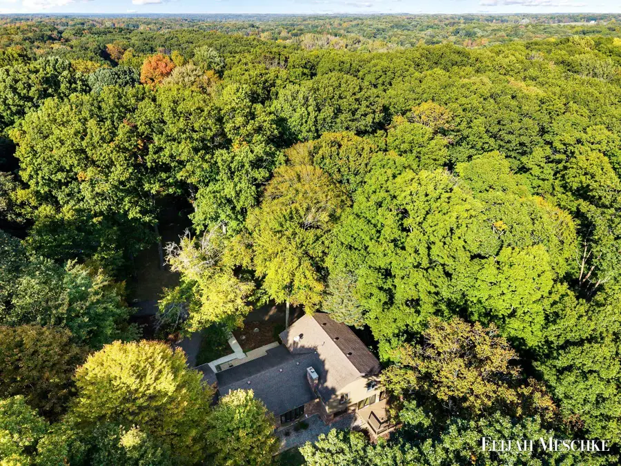 6935 River Valley Drive SE, Alto, MI 49302 - #3