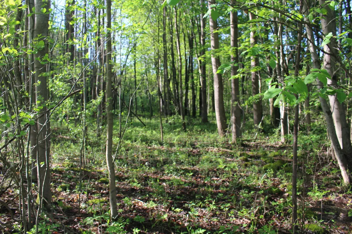 104th Avenue, Allegan, MI 49010 - Image #1