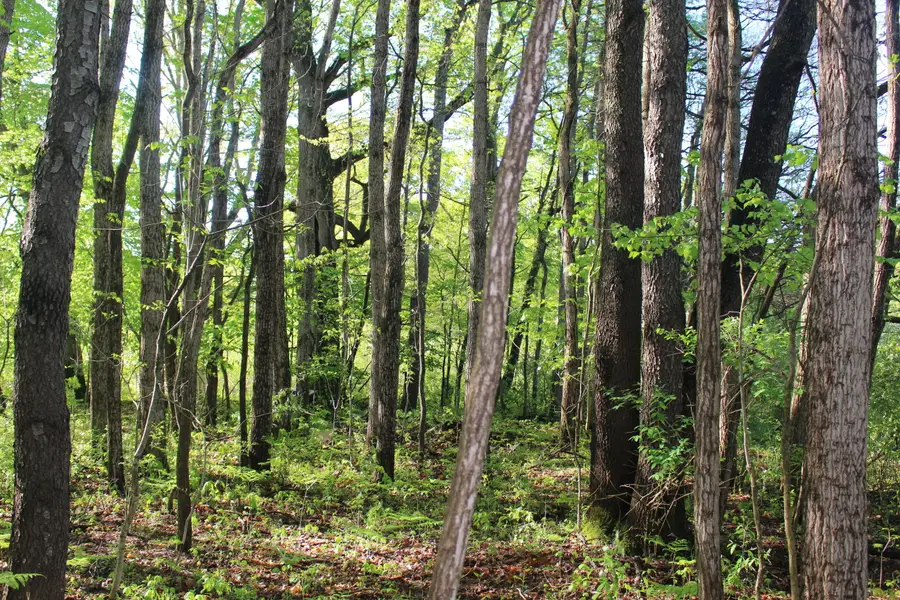 104th Avenue, Allegan, MI 49010 - Image #3