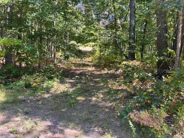 VL 52nd Street, Pullman, MI 49450