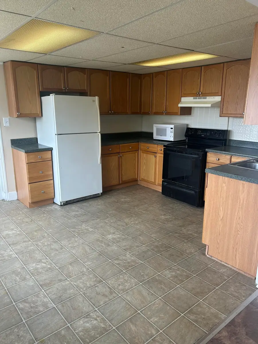 439 W Columbia Avenue, Battle Creek, MI 49015 - #3