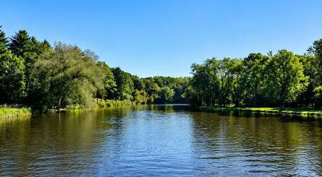 12581 Riverbend Road, Evart, MI 49631 - #2