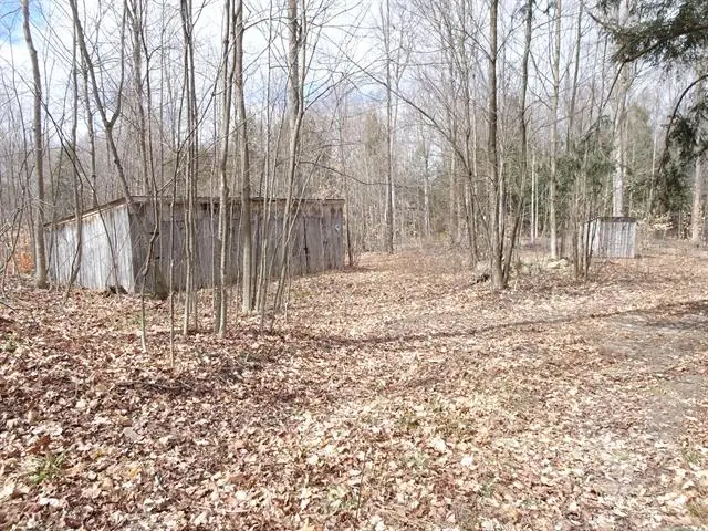 Chief ''F'' Road, Pleasanton, MI 49614 - Image #2