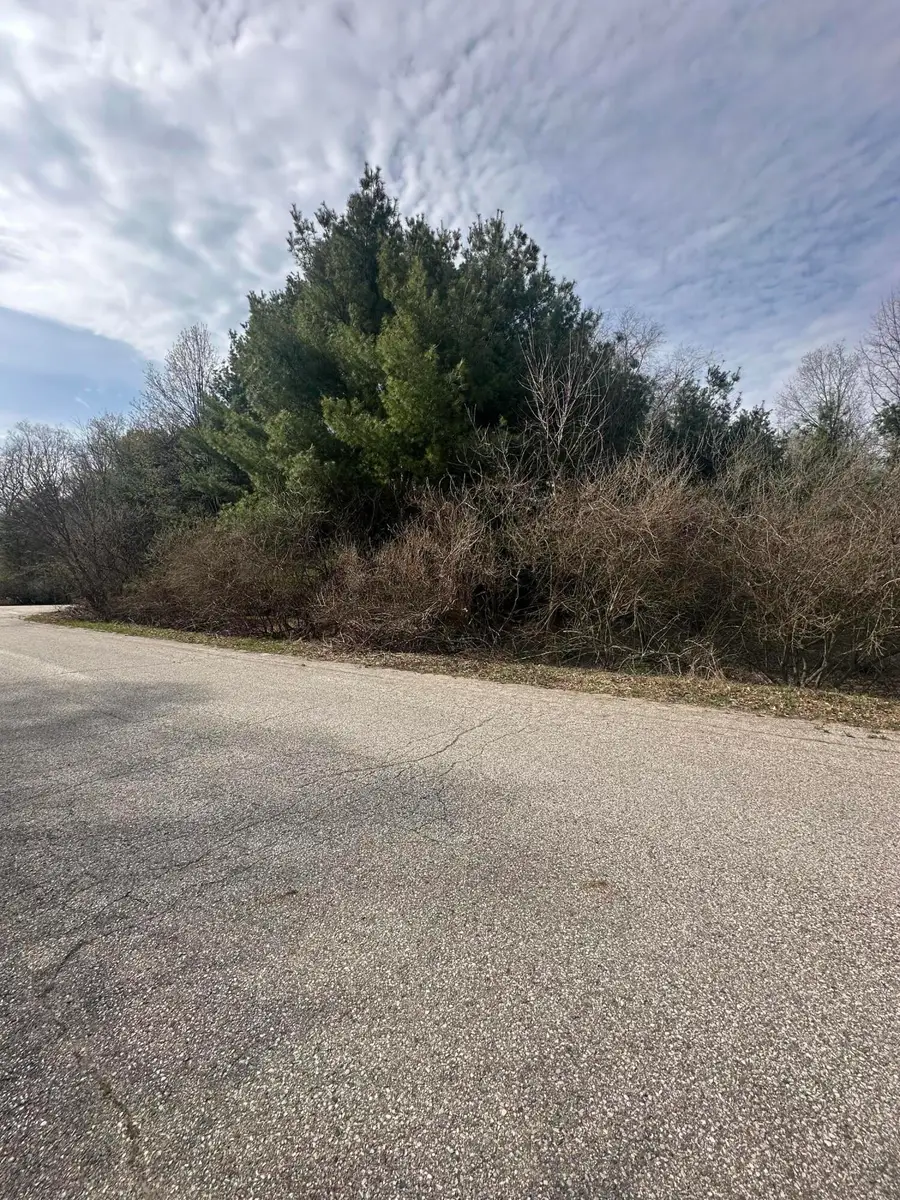 V/L-1 White Pine Drive, Hart, MI 49420 - Image #2