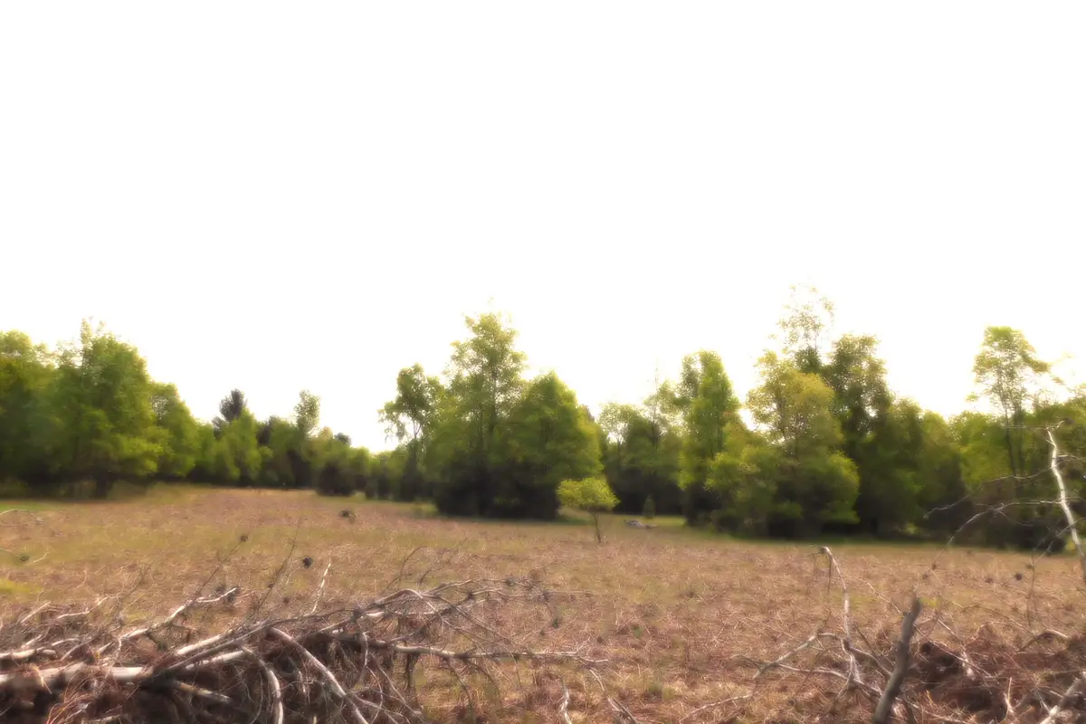 15880 Potter Road Unit: B26.82, Kaleva, MI 49645 - Image #1