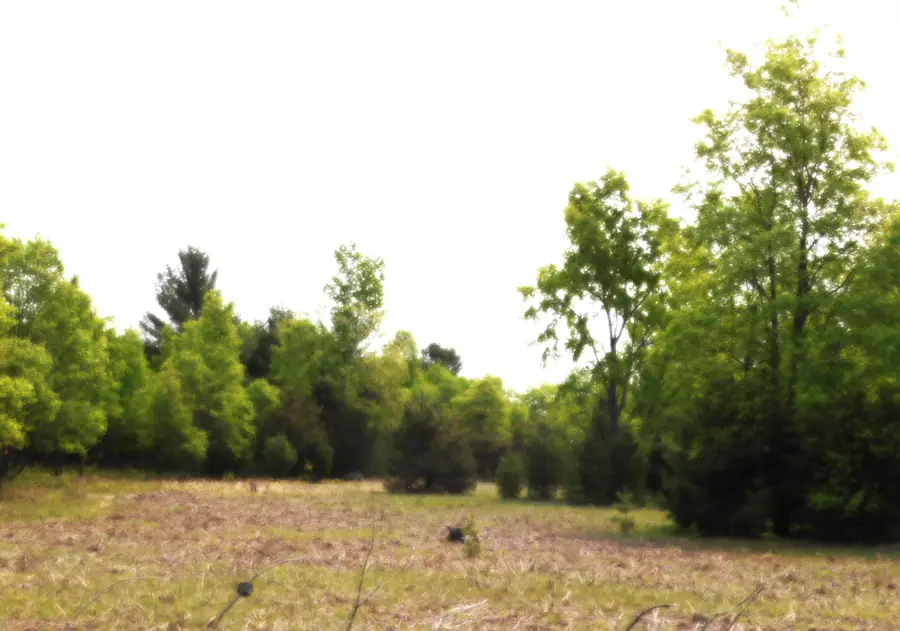 15880 Potter Road Unit: B26.82, Kaleva, MI 49645 - Image #3