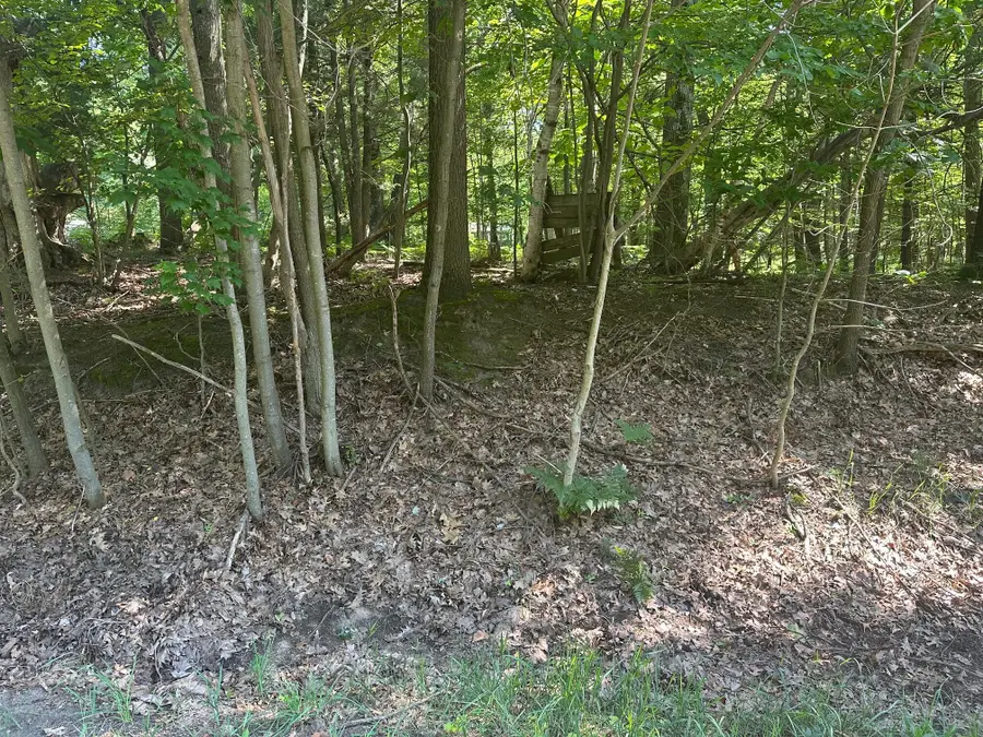 V/L Ridge Road, Mears, MI 49436 - Image #3