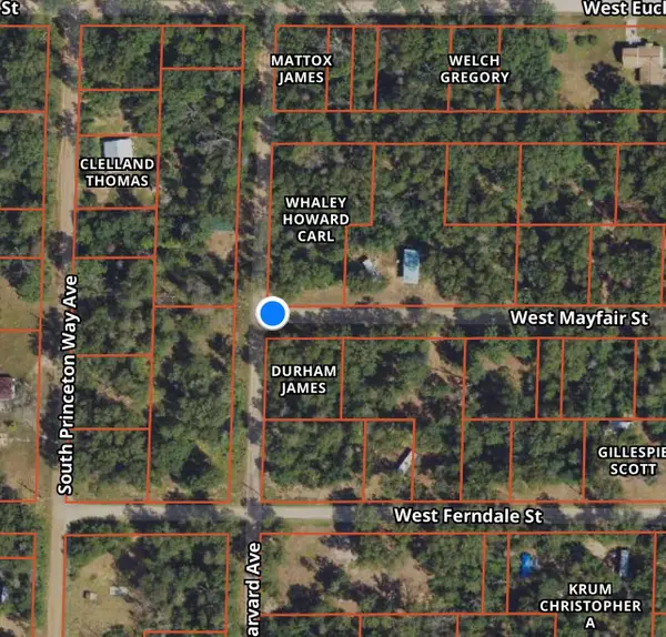 2693 W Mayfair Street, Baldwin, MI 49304