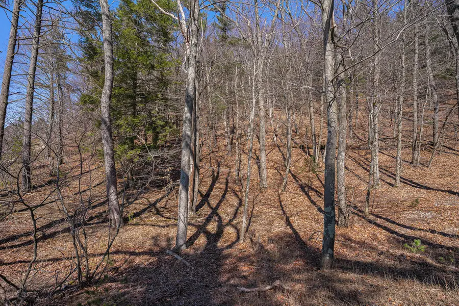 Lot O Hemlock, Shelby, MI 49455 - Image #2