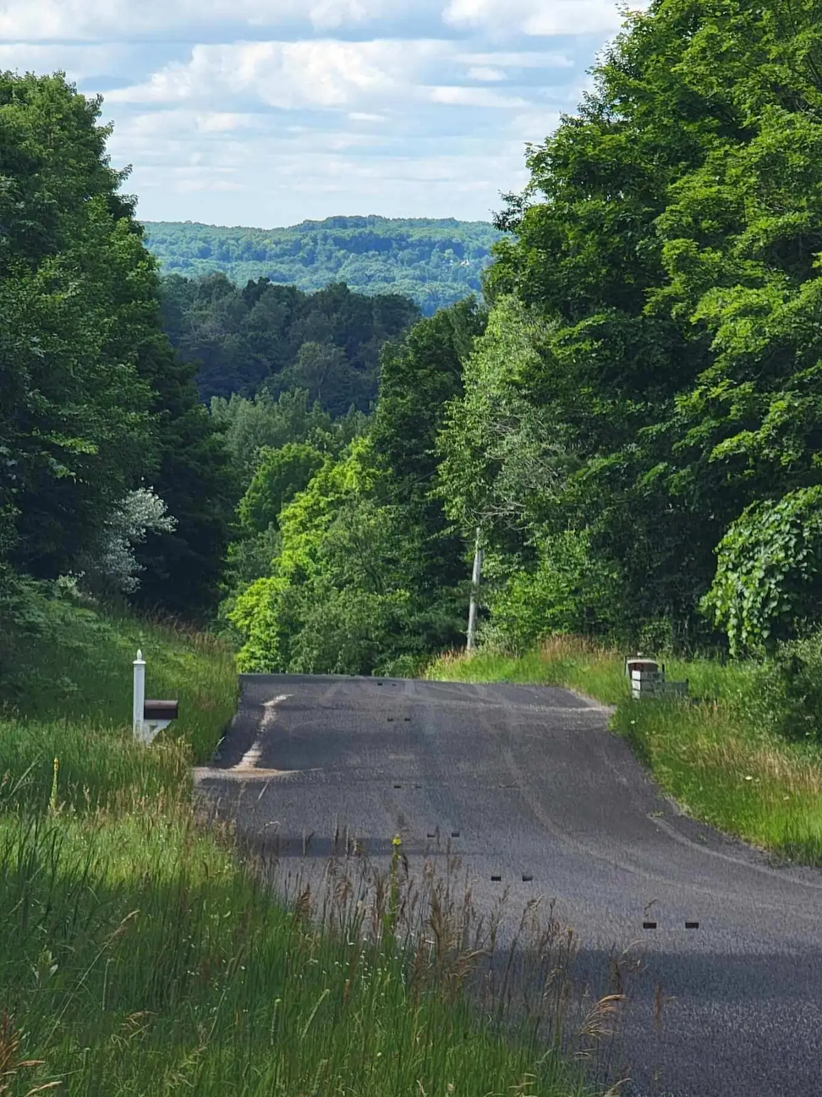 Maxey Road Unit: 7.2 acres, Arcadia, MI 49613 - Image #1