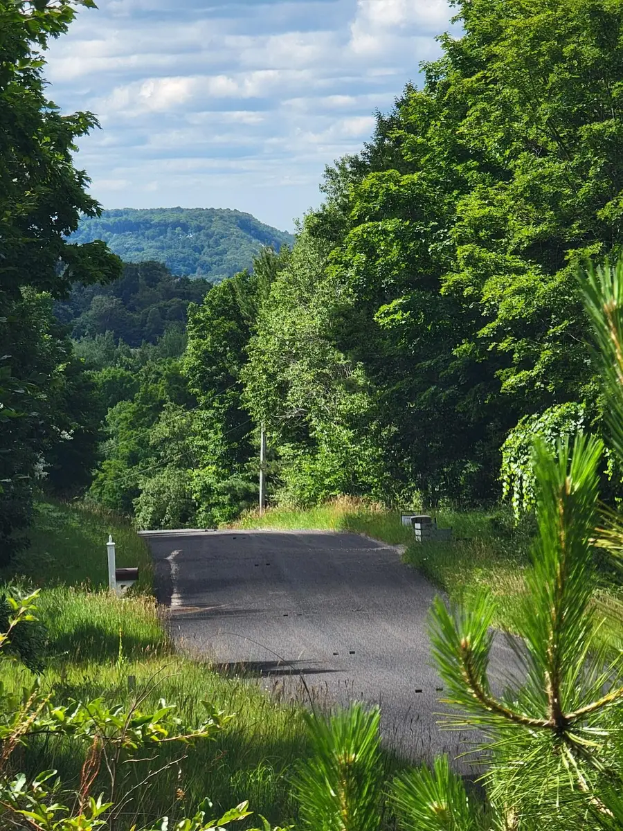 Maxey Road Unit: 7.2 acres, Arcadia, MI 49613 - Image #2