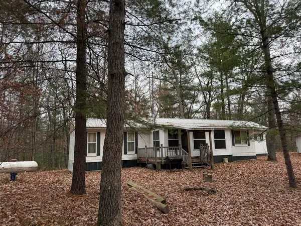 6644 W 9 Mile Road, Irons, MI 49644