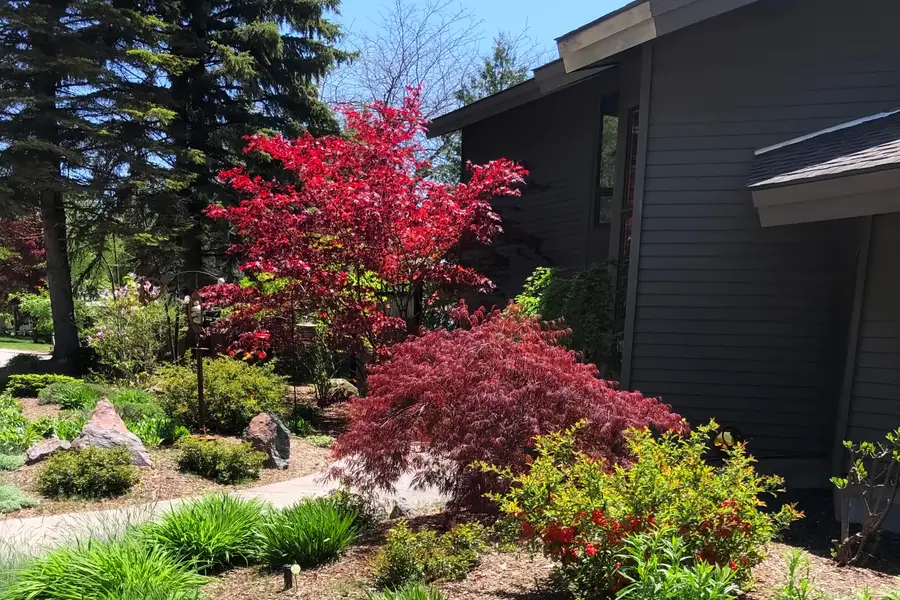 3151 Crystal Drive, Beulah, MI 49617 - #2