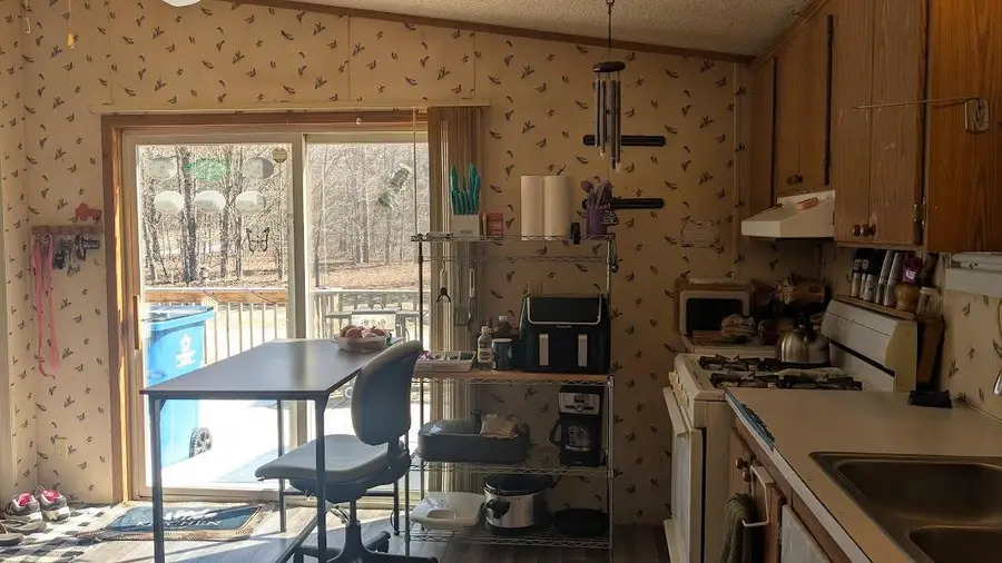 14441 Woods Trail Unit: 65, Thompsonville, MI 49683 - #3