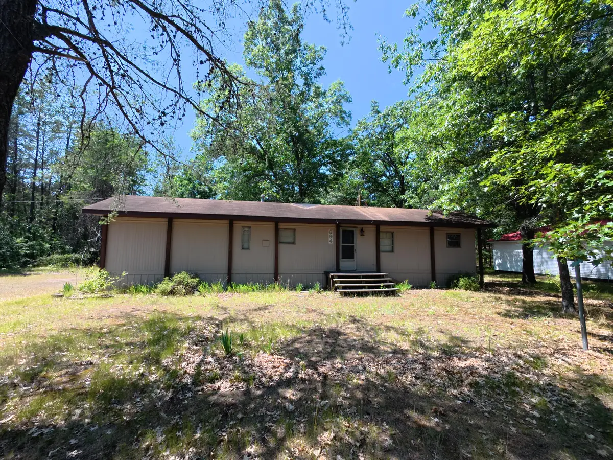 694 S Tippy Dam Road, Wellston, MI 49689 - #1