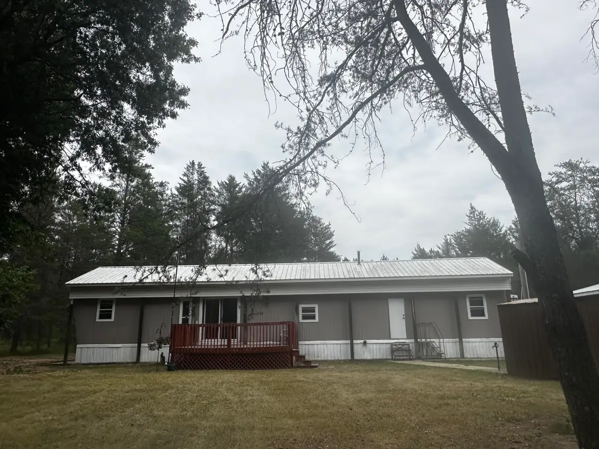 10595 N Twin Creek Road, Irons, MI 49644 - #1