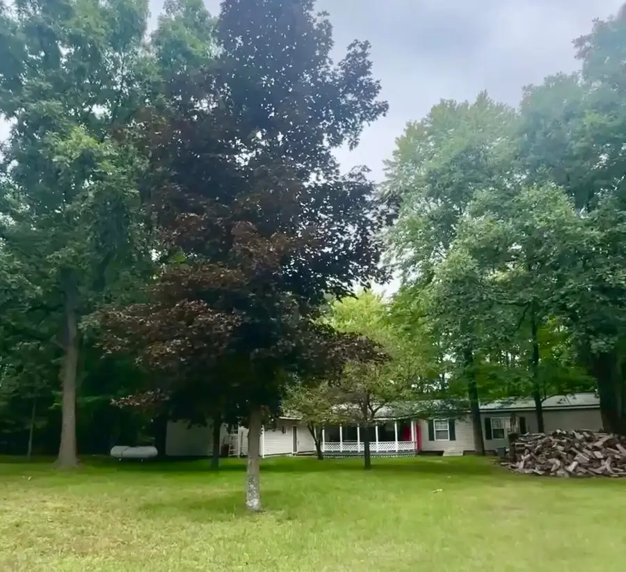 10703 N Mac Road, Irons, MI 49644 - #3
