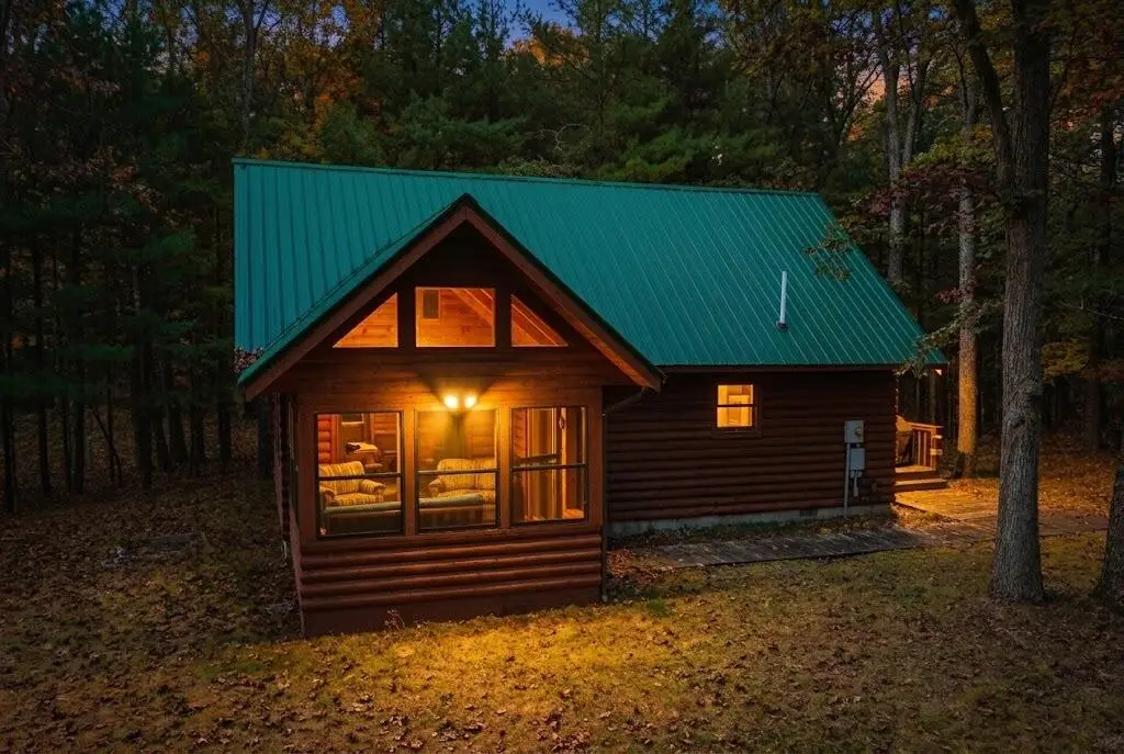 9405 N Bass Lake Road, Irons, MI 49644 - #1