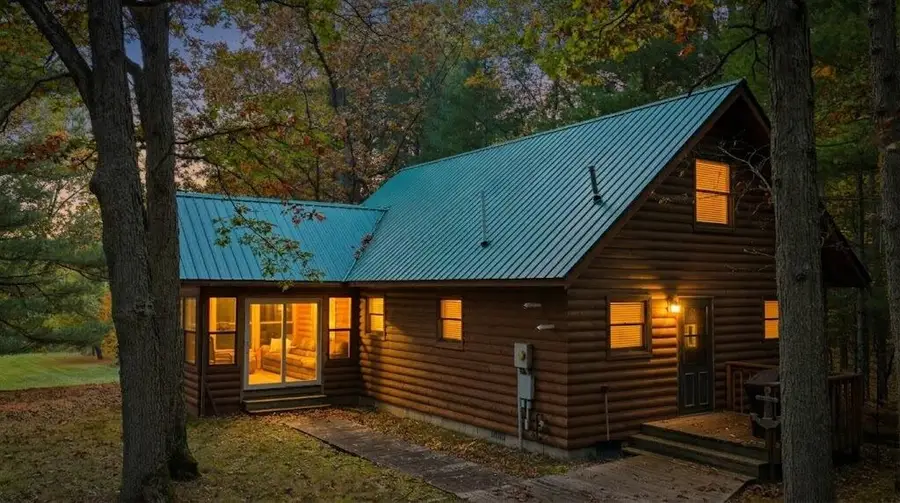 9405 N Bass Lake Road, Irons, MI 49644 - #2