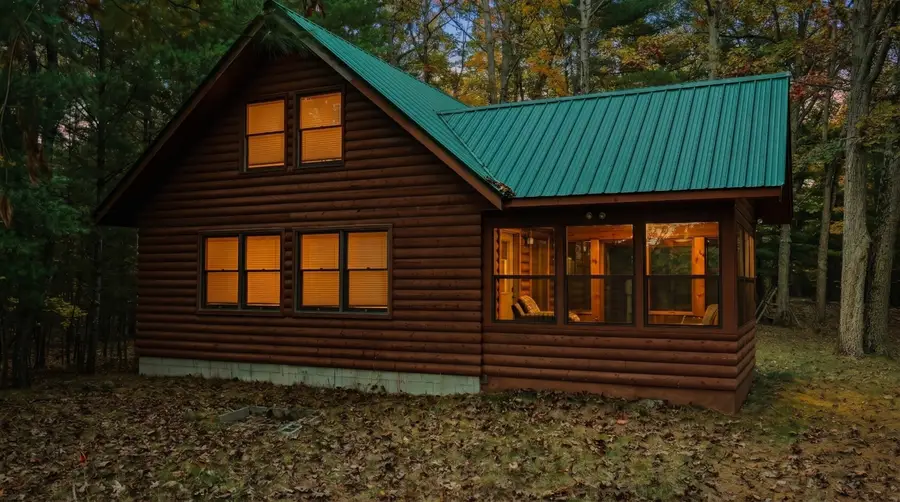9405 N Bass Lake Road, Irons, MI 49644 - #3