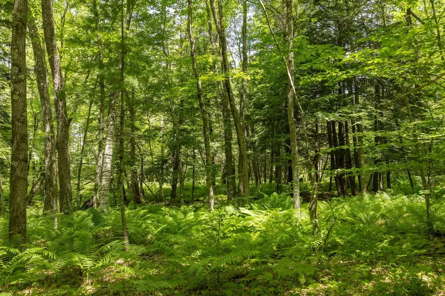 00 V/L 13 Mile Road Unit: Par E, Bitely, MI 49309 - Image #3