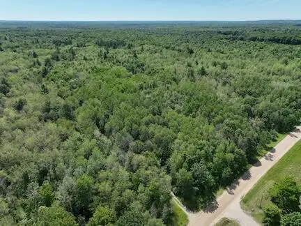 00 V/L Comstock Ave Unit: Par B, Bitely, MI 49309 - Image #3