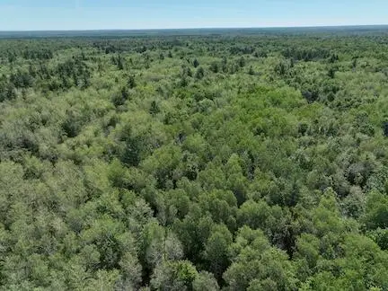 0 V/L W 13 Mile Rd. Unit: Par C, Bitely, MI 49309 - Image #2