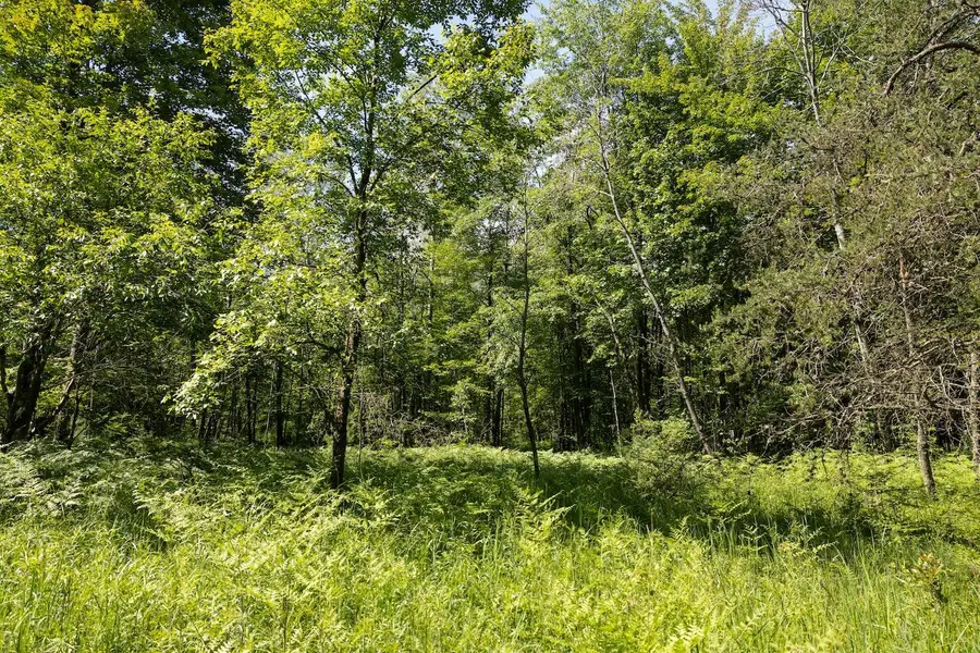 0 V/L W 13 Mile Rd. Unit: Par C, Bitely, MI 49309 - Image #3