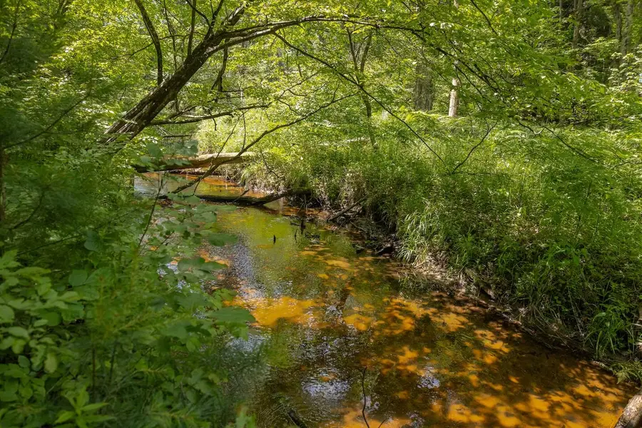 000 V/L 13 Mile Rd. Unit: Par D, Bitely, MI 49309 - Image #3