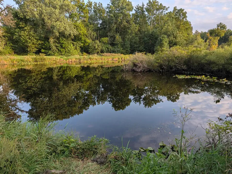 64444 Burr Oak Road, Burr Oak, MI 49030 - #3