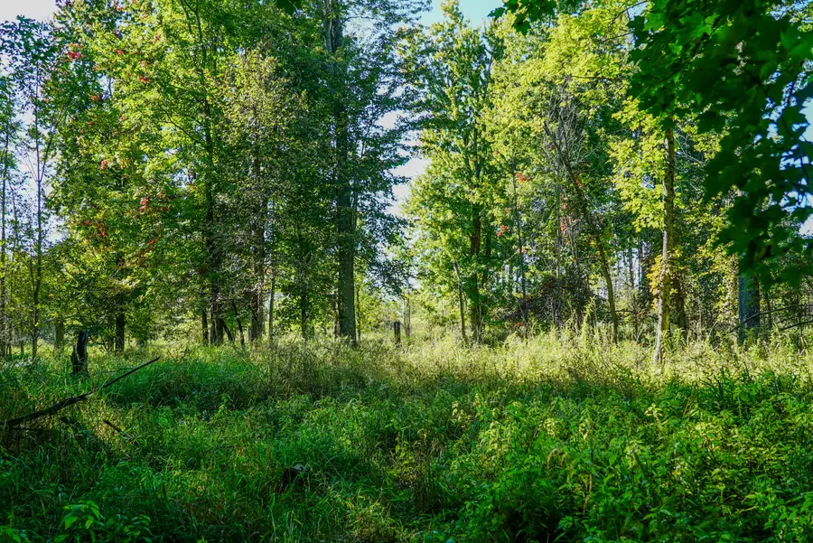3679 Migan Road, Prescott, MI 48756 - #3