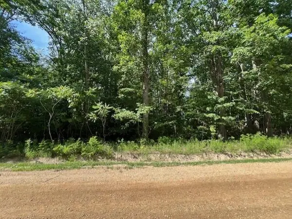 V/L National Parkway Unit: 25, UnionPier, MI 49129