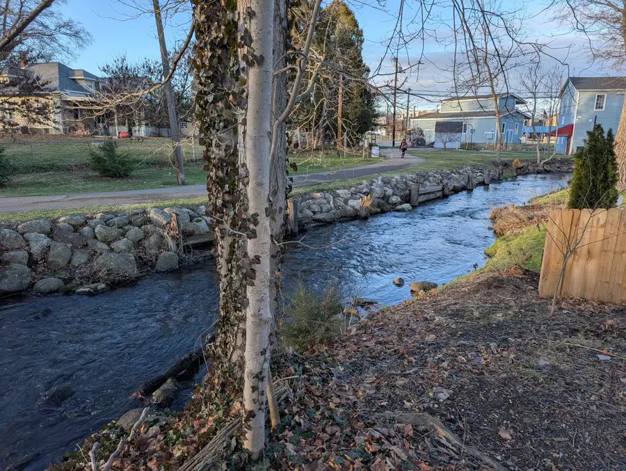 107 E Chicago Street, Buchanan, MI 49107 - Image #3