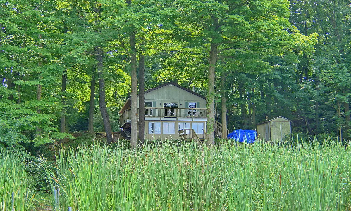 10749 Kings Lane, Berrien, MI 49103 - #1