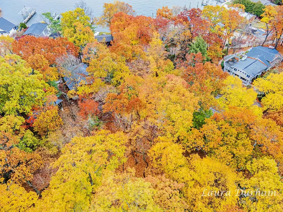 VL Park Street, Saugatuck, MI 49453 - Image #3