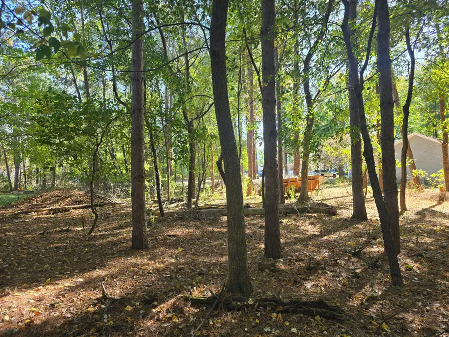 0 V/L Essex, Bethany, MI 48880 - Image #3