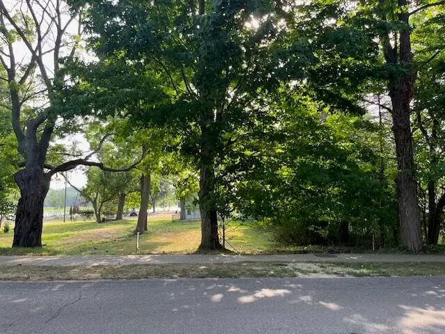 163 N Main Street Unit: Parcel 3.1, Douglas, MI 49406 - #1