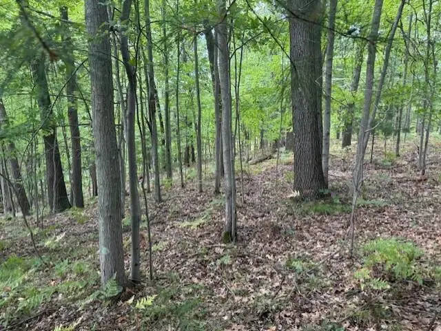 3518 Sunrise Ridge Unit: 22, Holton, MI 49457 - Image #2