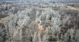 39th Street, Port Huron Charter Township, MI 48060 - Image #2