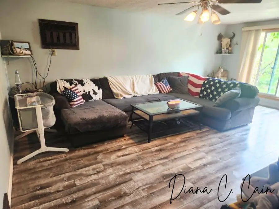 123 Riverside Drive, Hart, MI 49420 - #3