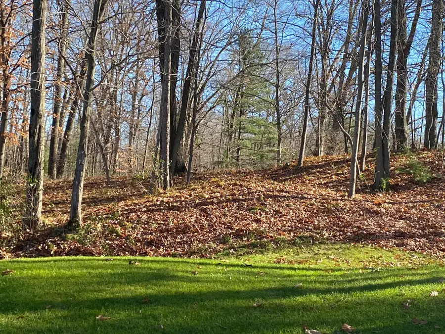 8975 Whispering Lane Unit: 234-235, Canadian Lakes, MI 49346 - Image #3