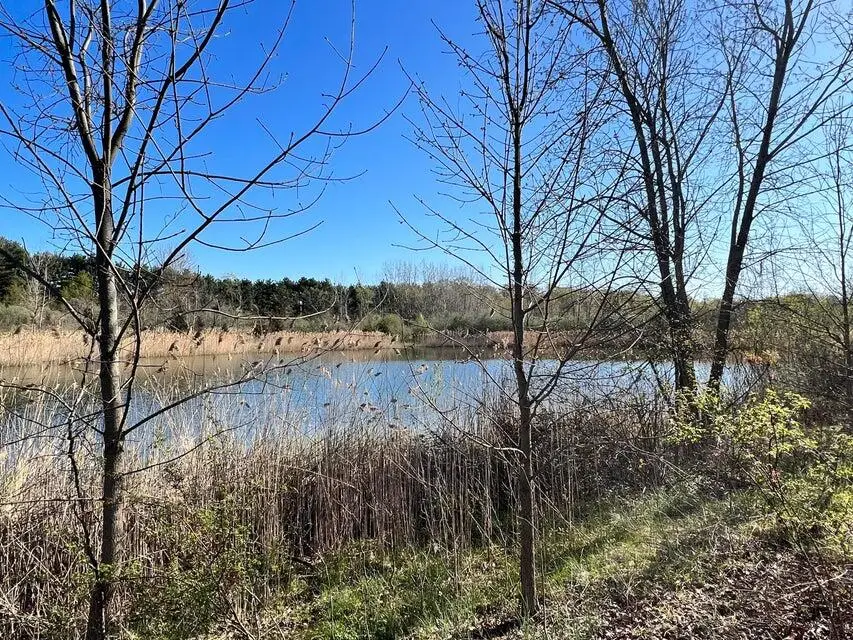 8249 Parcel A M-139, Oronoko, MI 49103 - Image #3