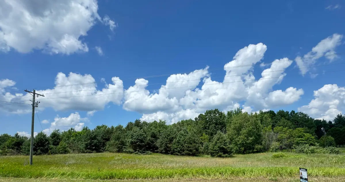 2 acres E 48th Street, Chase, MI 49623 - Image #1